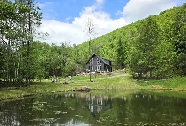 1227 Gulf RD, Callicoon Center, NY 12724