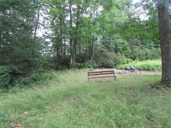 Fox Hill Road Tr 55, Mountain Dale, NY 12733