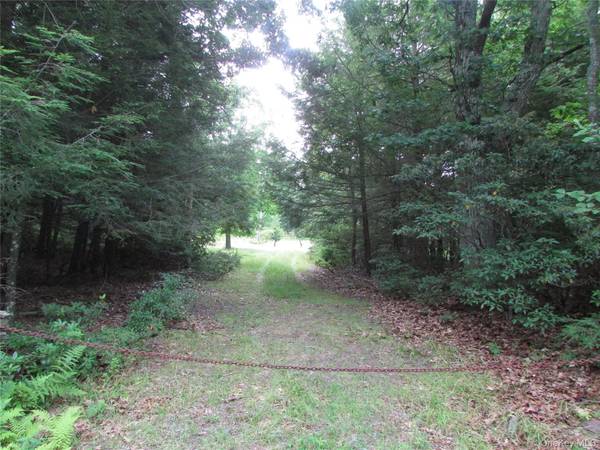 Fox Hill Road Tr 55, Mountain Dale, NY 12733