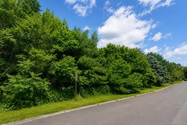 Patricia DR, Pleasant Valley, NY 12569