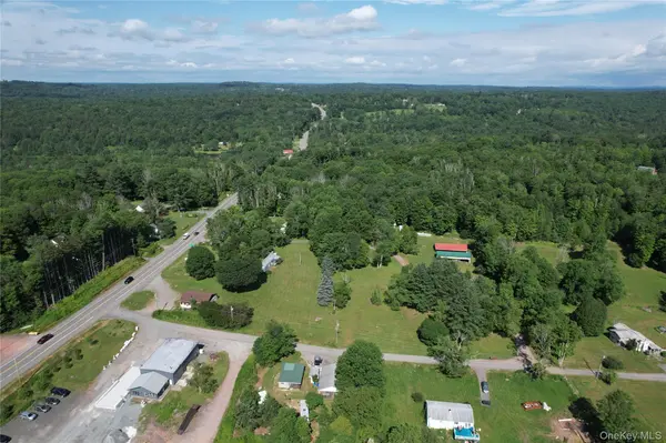 3 Martin LN, Mongaup Valley, NY 12762