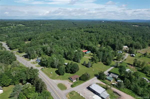 3 Martin LN, Mongaup Valley, NY 12762