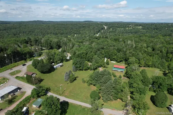 3 Martin LN, Mongaup Valley, NY 12762