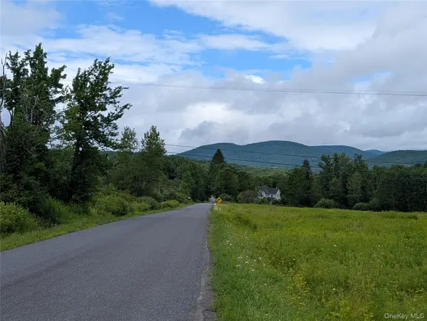Hubbell Hill RD, Margaretville, NY 12455
