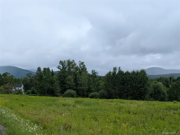 Hubbell Hill RD, Margaretville, NY 12455