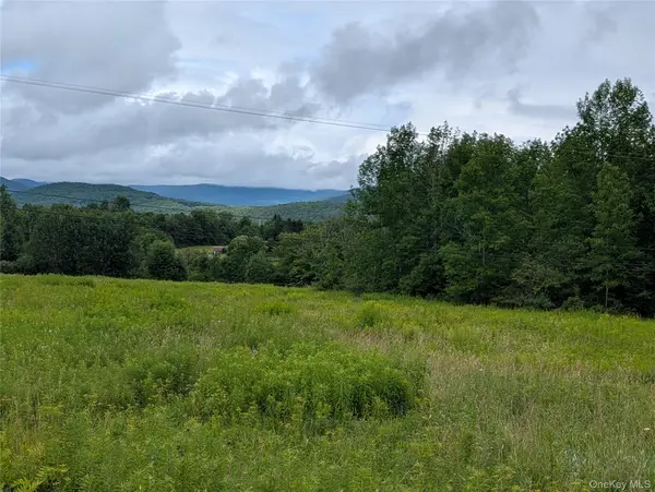 Hubbell Hill RD, Margaretville, NY 12455