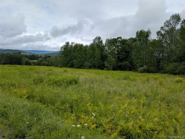Hubbell Hill RD, Margaretville, NY 12455