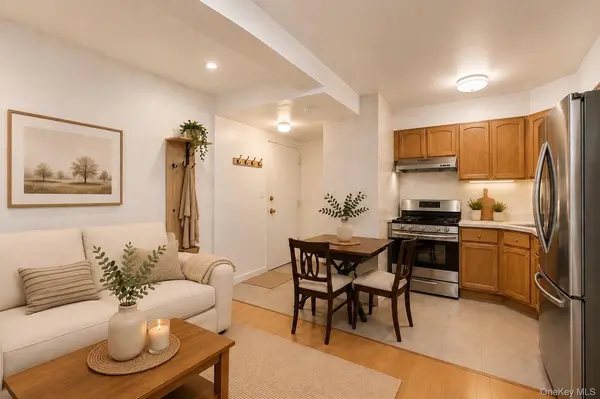 167 Sands ST #406, Brooklyn, NY 11201