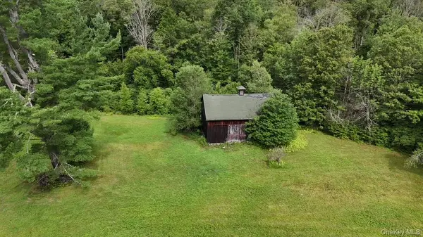 426 Basket RD, Long Eddy, NY 12760