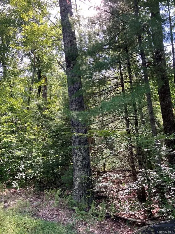 Plank Road  Forestburg New York, Forestburgh, NY 12777