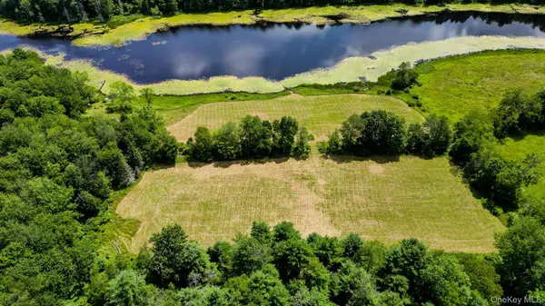 Lot 33 Black Lake RD, White Lake, NY 12786