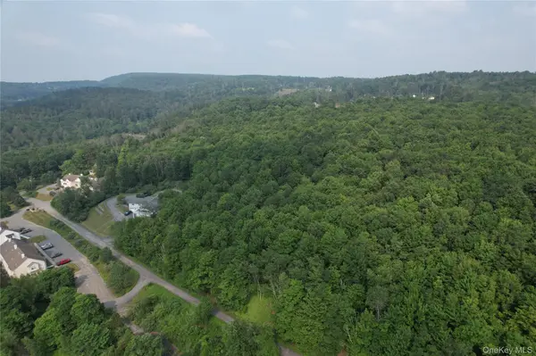 TBD Timberwolf RD, Liberty, NY 12754