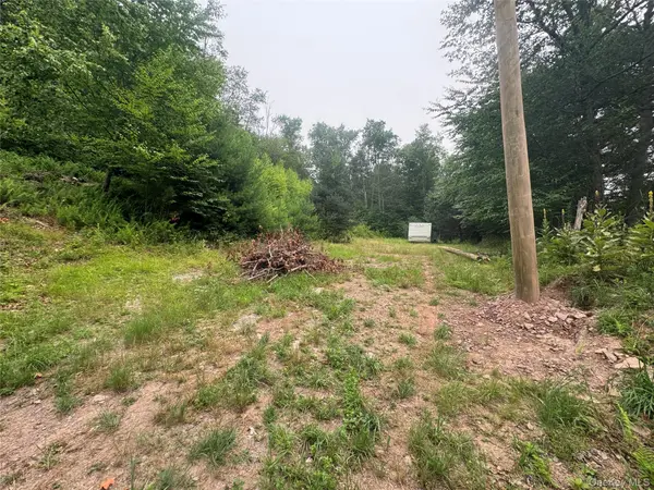 Rapp RD, Monticello, NY 12701