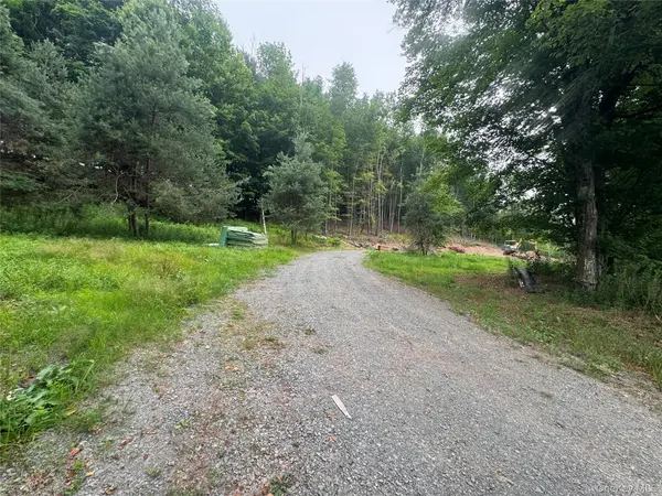 Rapp RD, Monticello, NY 12701