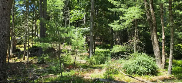 Lot # 7 Irishtown RD, Narrowsburg, NY 12764