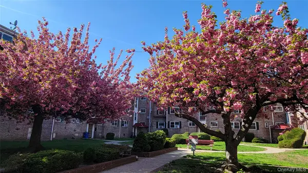 65-30 Grand Central Parkway #1A, Forest Hills, NY 11375