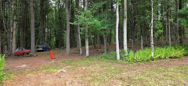 Co Hwy 73, Swan Lake, NY 12783