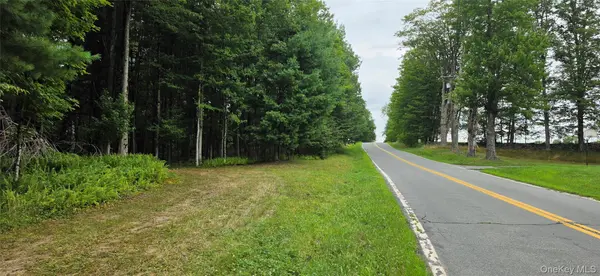 Co Hwy 73, Swan Lake, NY 12783
