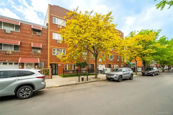 1325 Purdy ST, Bronx, NY 10462
