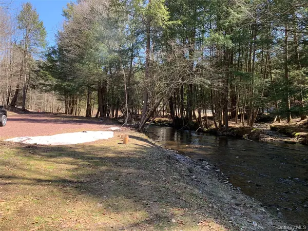604 Basket RD, Long Eddy, NY 12760