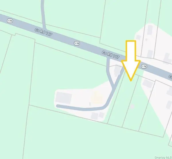 TBD State Route 17B, Bethel, NY 12720