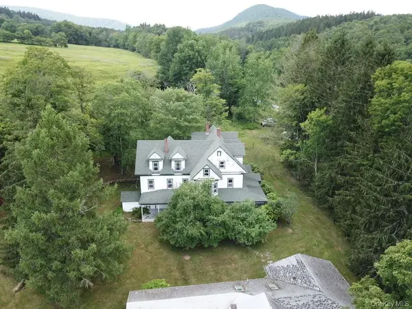 109 Mary Smith Hill RD, Livingston Manor, NY 12758