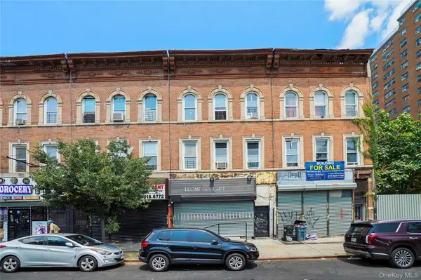 113 Belmont AVE, Brooklyn, NY 11212