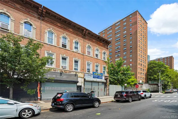 113 Belmont AVE, Brooklyn, NY 11212