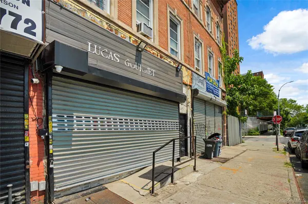 113 Belmont AVE, Brooklyn, NY 11212