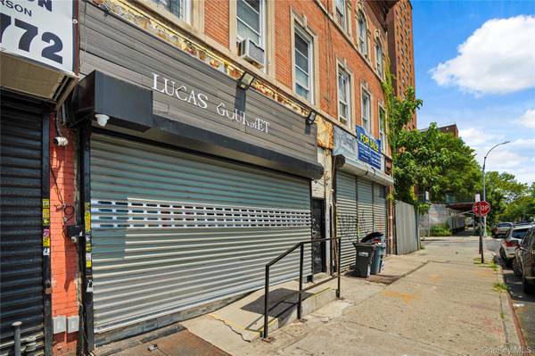 113 Belmont AVE, Brooklyn, NY 11212