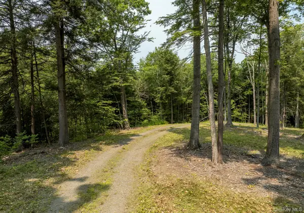 276 E Hill RD, Austerlitz, NY 12017
