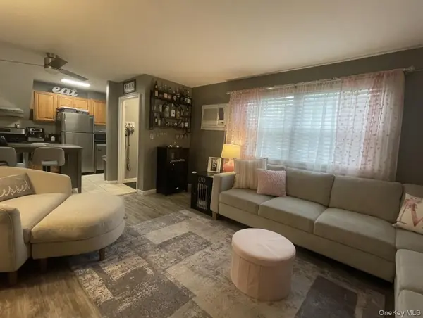 81-11 Langdale ST #216A, New Hyde Park, NY 11040