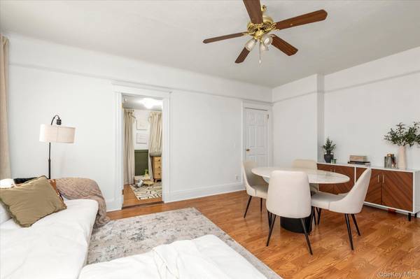 173 Cleveland AVE, Mineola, NY 11501