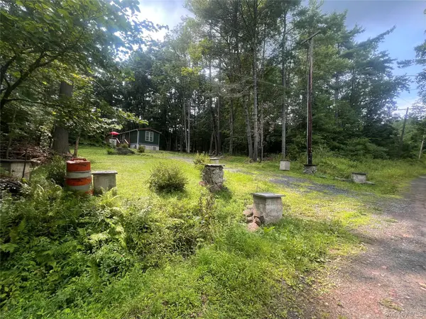 101 Lake Country LN, Narrowsburg, NY 12764