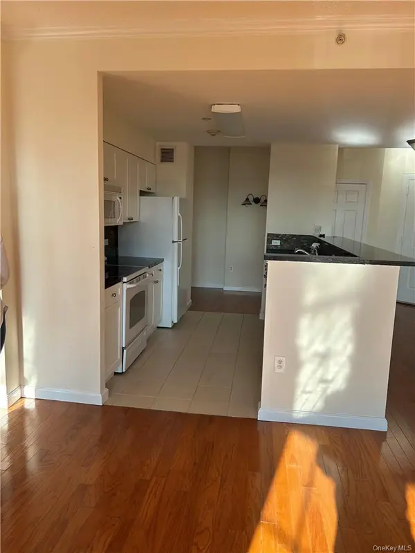 300 Mamaroneck AVE #729, White Plains, NY 10605