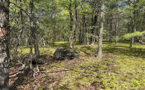 Route 28A, West Hurley, NY 12443