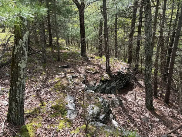 Route 28A, West Hurley, NY 12443