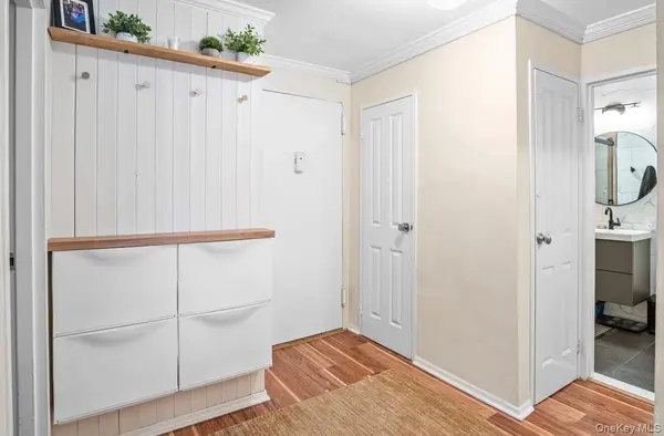 101 Clinton AVE #1L, Mineola, NY 11501