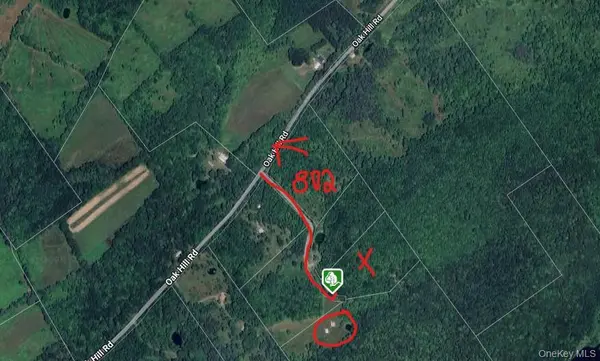 Lot 29.4 Sunset TRL, Franklin, NY 13775
