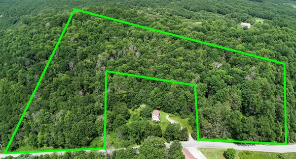 TDB White Roe Lake RD, Livingston Manor, NY 12758