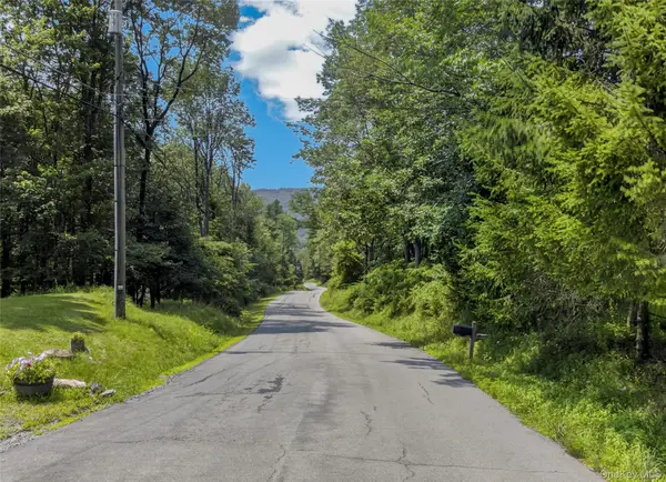 TDB White Roe Lake RD, Livingston Manor, NY 12758