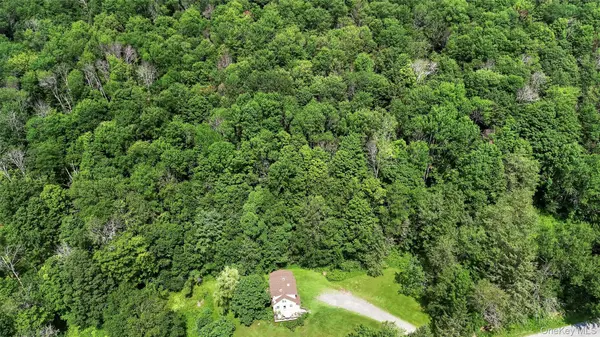 TDB White Roe Lake RD, Livingston Manor, NY 12758