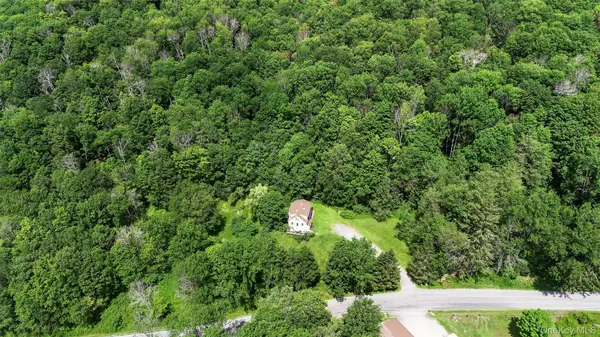 TDB White Roe Lake RD, Livingston Manor, NY 12758