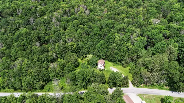 TDB White Roe Lake RD, Livingston Manor, NY 12758