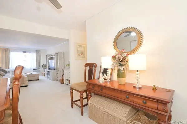 4 Birchwood CT ##1O, Mineola, NY 11501