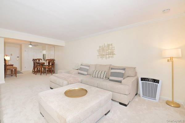 4 Birchwood CT ##1O, Mineola, NY 11501
