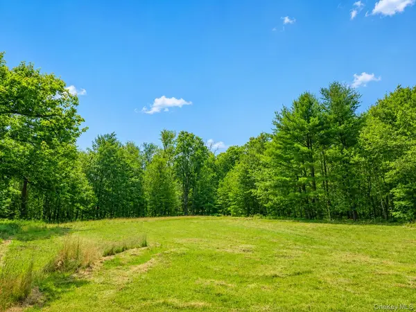 94-100 Dingle Daisy RD, Monticello, NY 12701