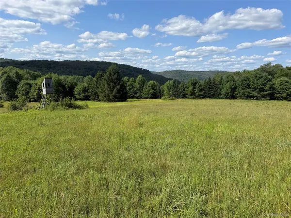 Bert Medlar RD, Hancock, NY 13783
