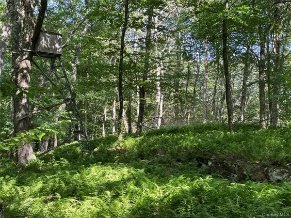 Bert Medlar RD, Hancock, NY 13783