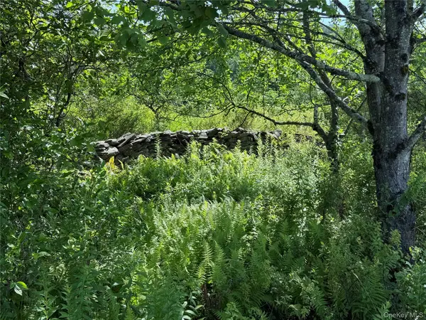 Bert Medlar RD, Hancock, NY 13783